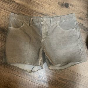 Carve Designs Oahu 4” Shorts